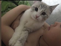 Кошка Муся - Рябикова - фото 4637