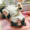 Кошка МАРКИЗА - фото 10664