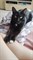 Кошка Шери - Нижняя терасса - фото 4770