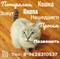 Кошка Кнопа- Юго-западный - фото 5516