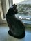 Кот Фунтик на Б. Хмельницкого - фото 5808