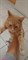Кот на Тюленева - фото 8362