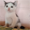Кошка МАМОЧКА 3118