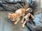 Кошка ТРИ КОТЁНКА 4605