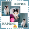 Кот НАРЦИС 4795 - фото 17644