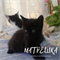 Кошка МАТРЁШКА 2949